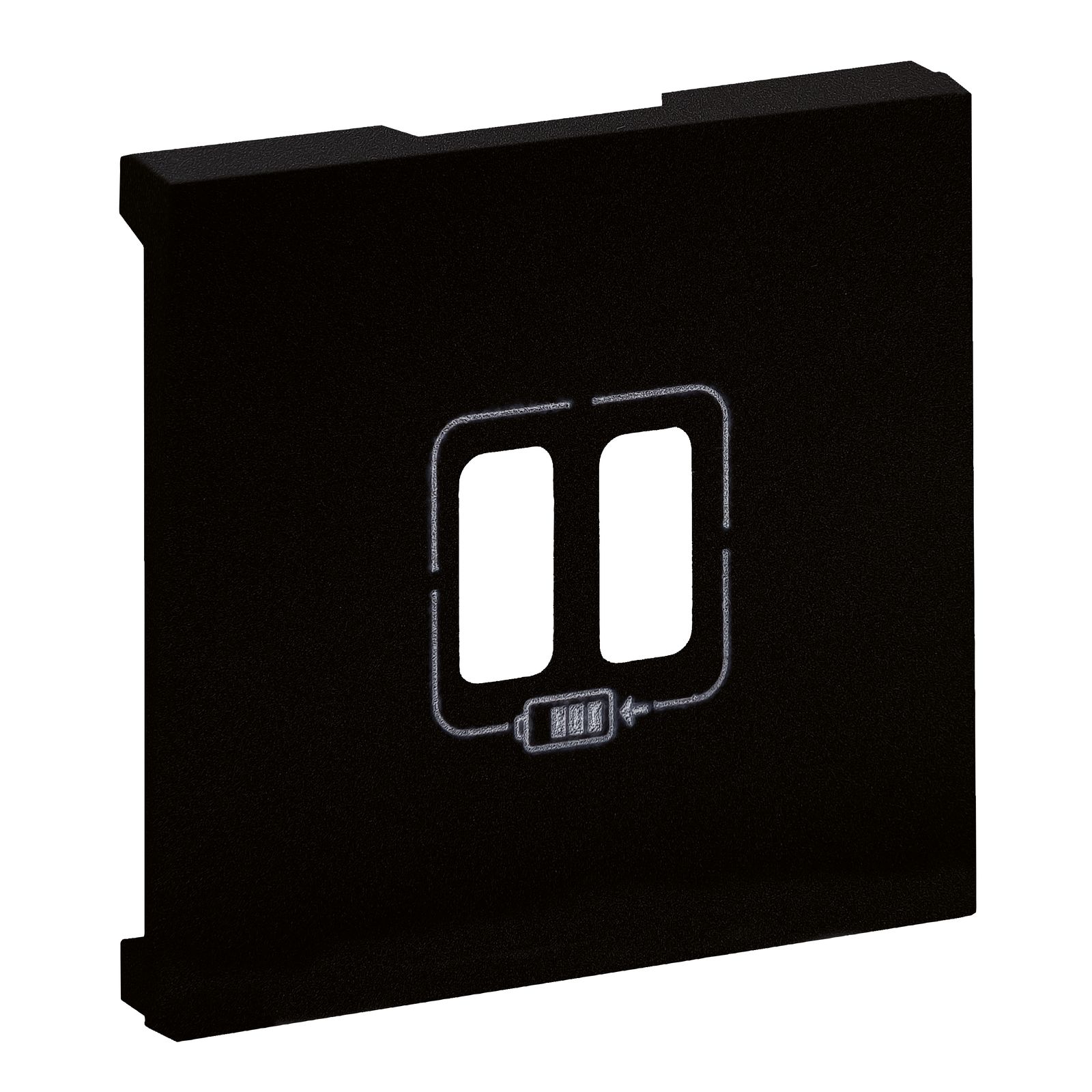 Zentralplatte USB 1f sw m.Aufdr ohne