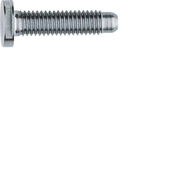 Maschinenschraube/Bolzen M5x25mm SW6 Edst unbeh