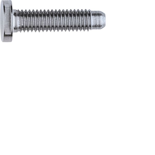 Maschinenschraube/Bolzen M5x25mm SW6 Edst unbeh