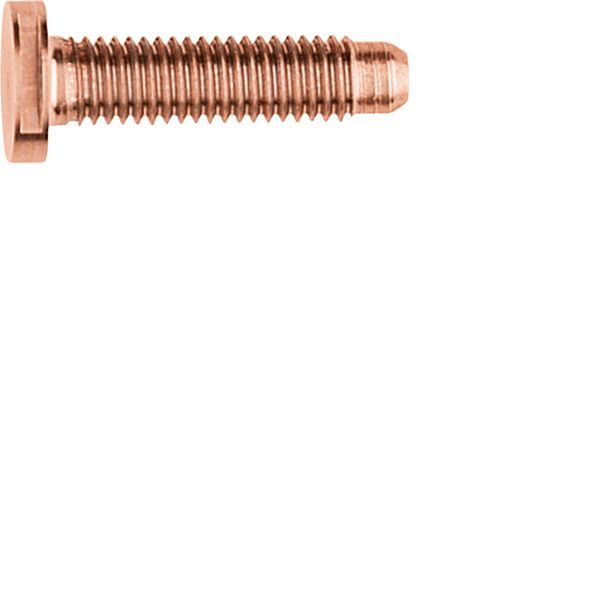 Maschinenschraube/Bolzen M5x25mm SW6 Edst unbeh