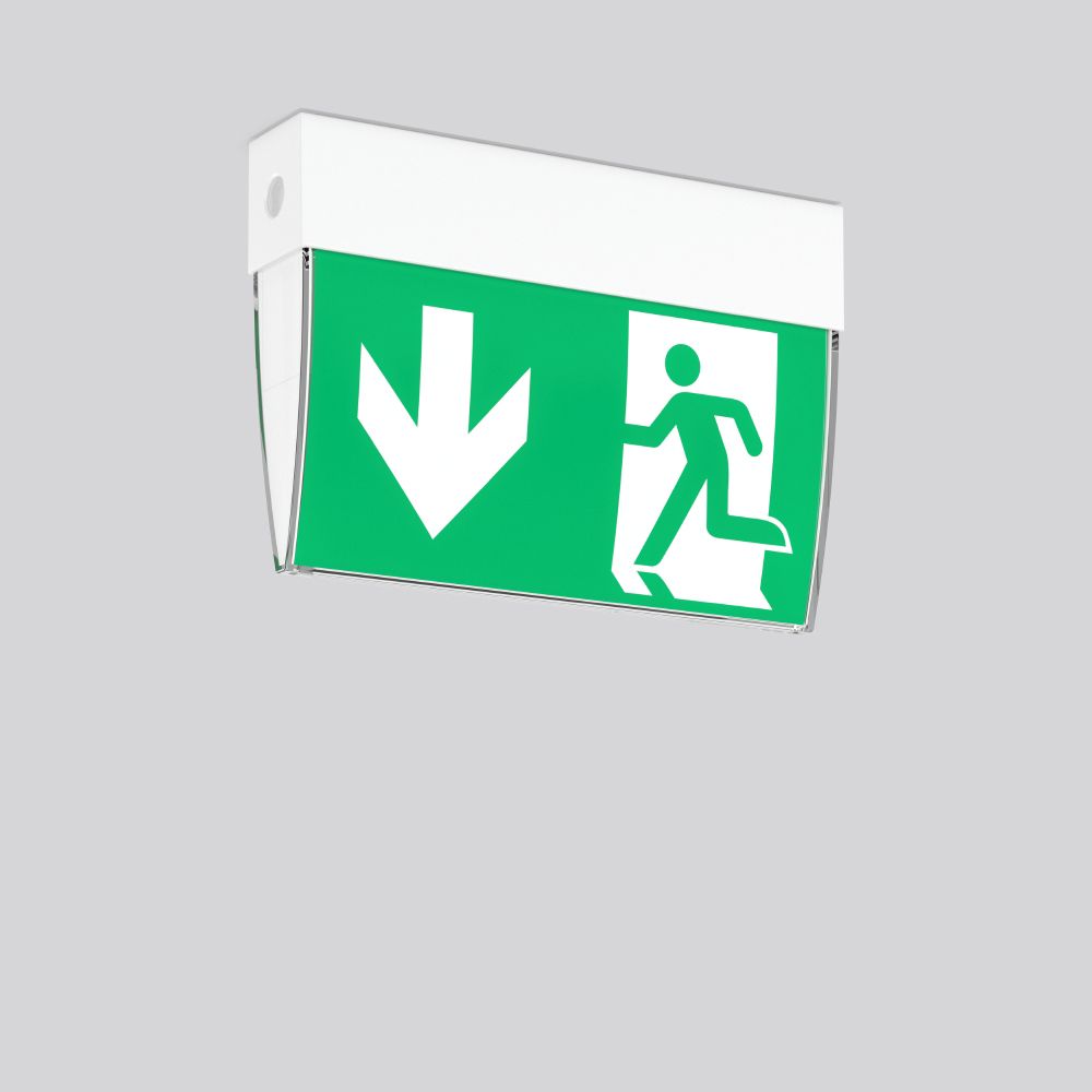 LED-Sicherheitsleuchte ExeoD 4,1W 4000K 60lm 1LED Wandanbau/Deckenanbau 24m IP54