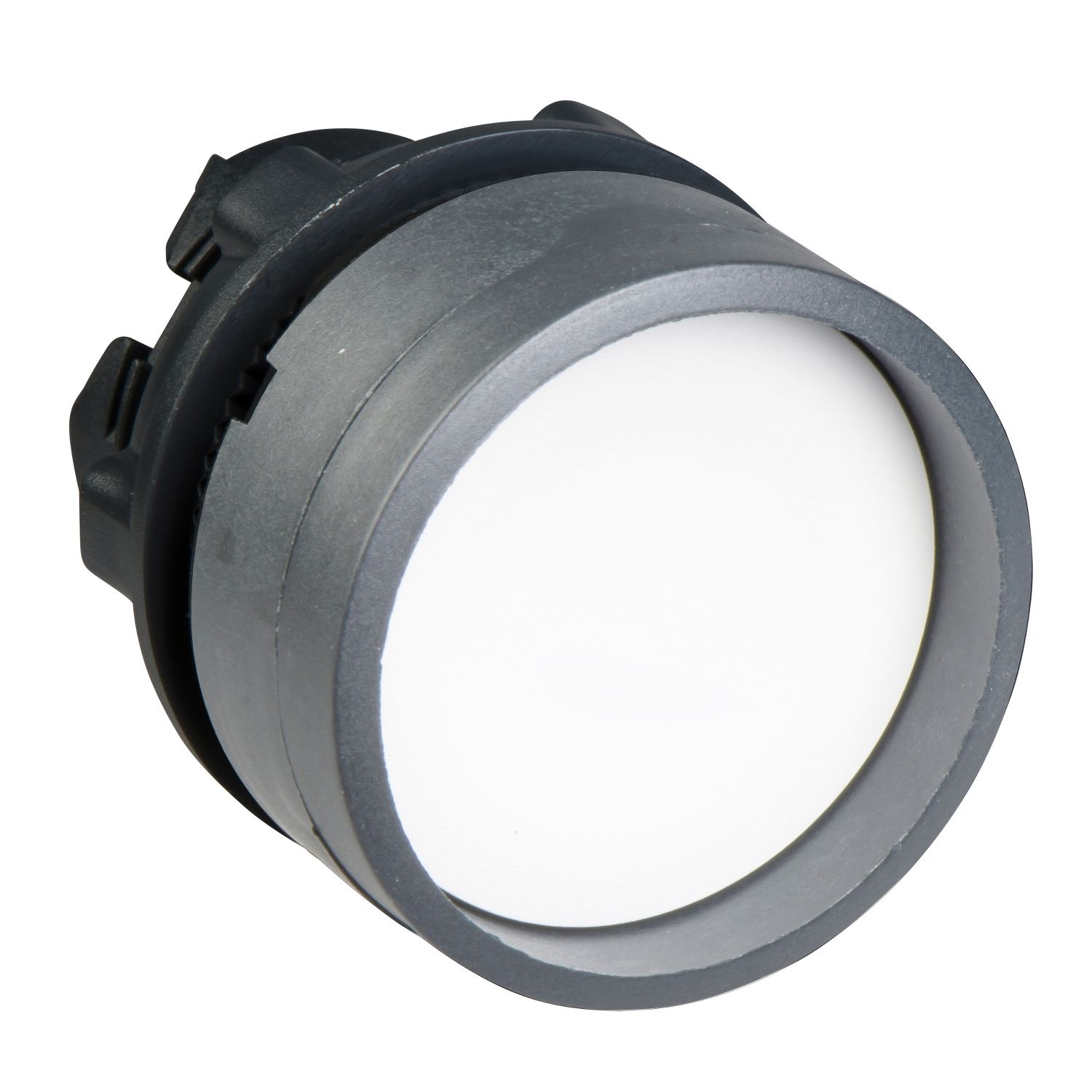 Drucktaster Front 1f ws Ø22mm rnd IP66 Tastend