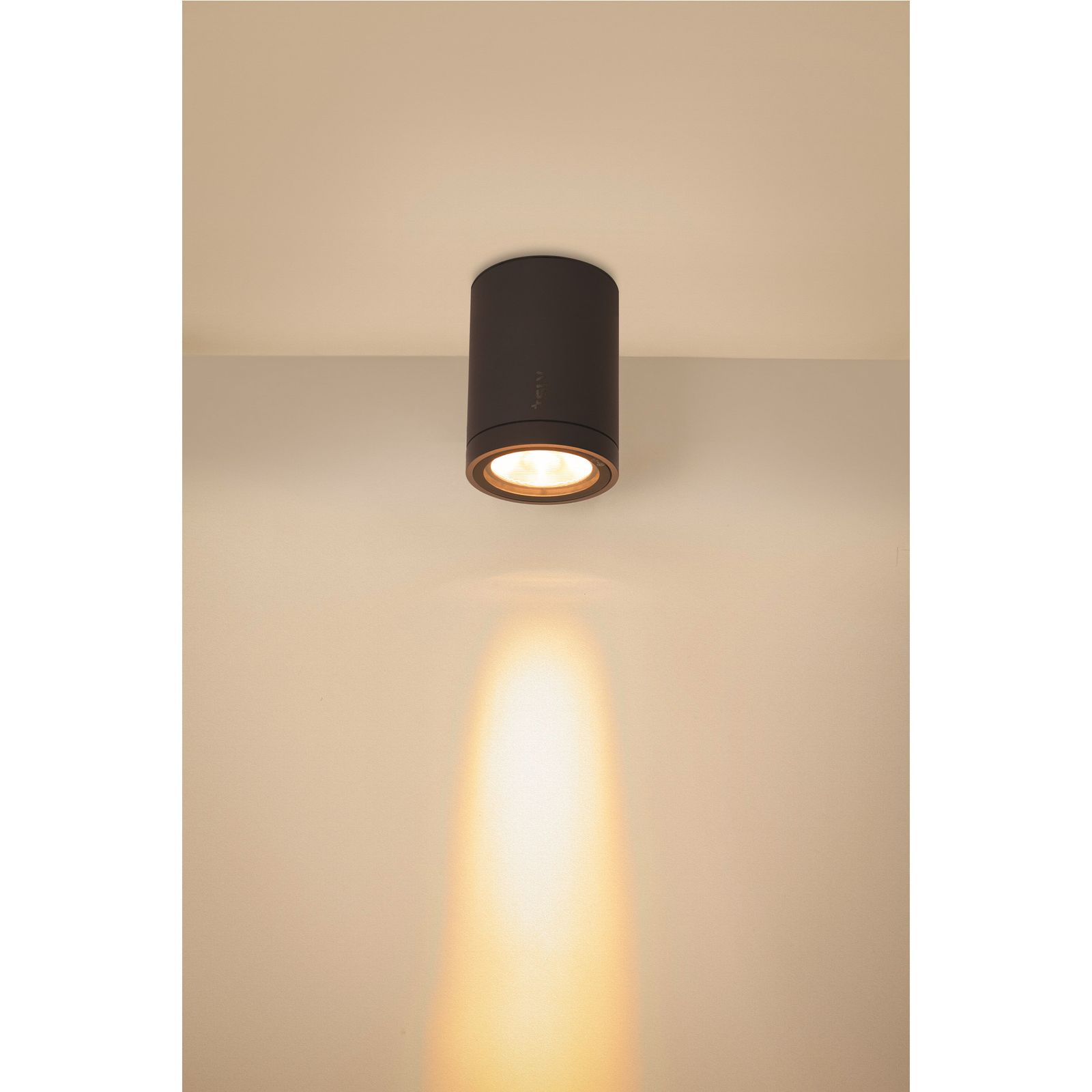 LED-Anbauleuchte 11W 3000-4000K 960lm anth IP65 Ø100x125mm