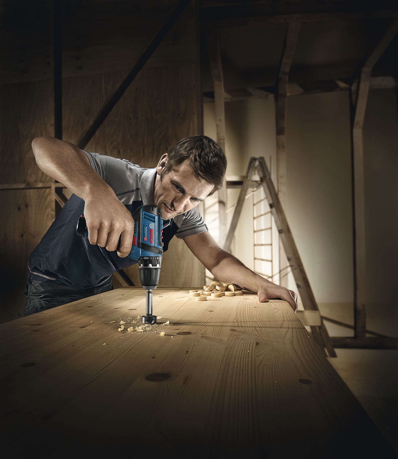 Akku-Schrauber 12V 2Ah Professional 1kg 30Nm 2,5-30Nm