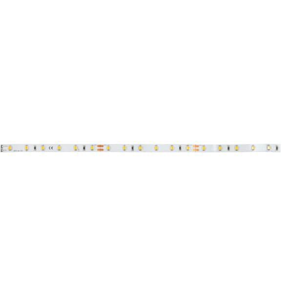 LED-Lichtband 4,8W/m ws 2700K 60Stk/m IP00 DC LED nicht austauschbar 5000mm