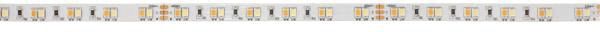 LED-Lichtband 19,2W/m ws 2000-6500K IP00 120Stk/m LED nicht austauschbar 100mm DC