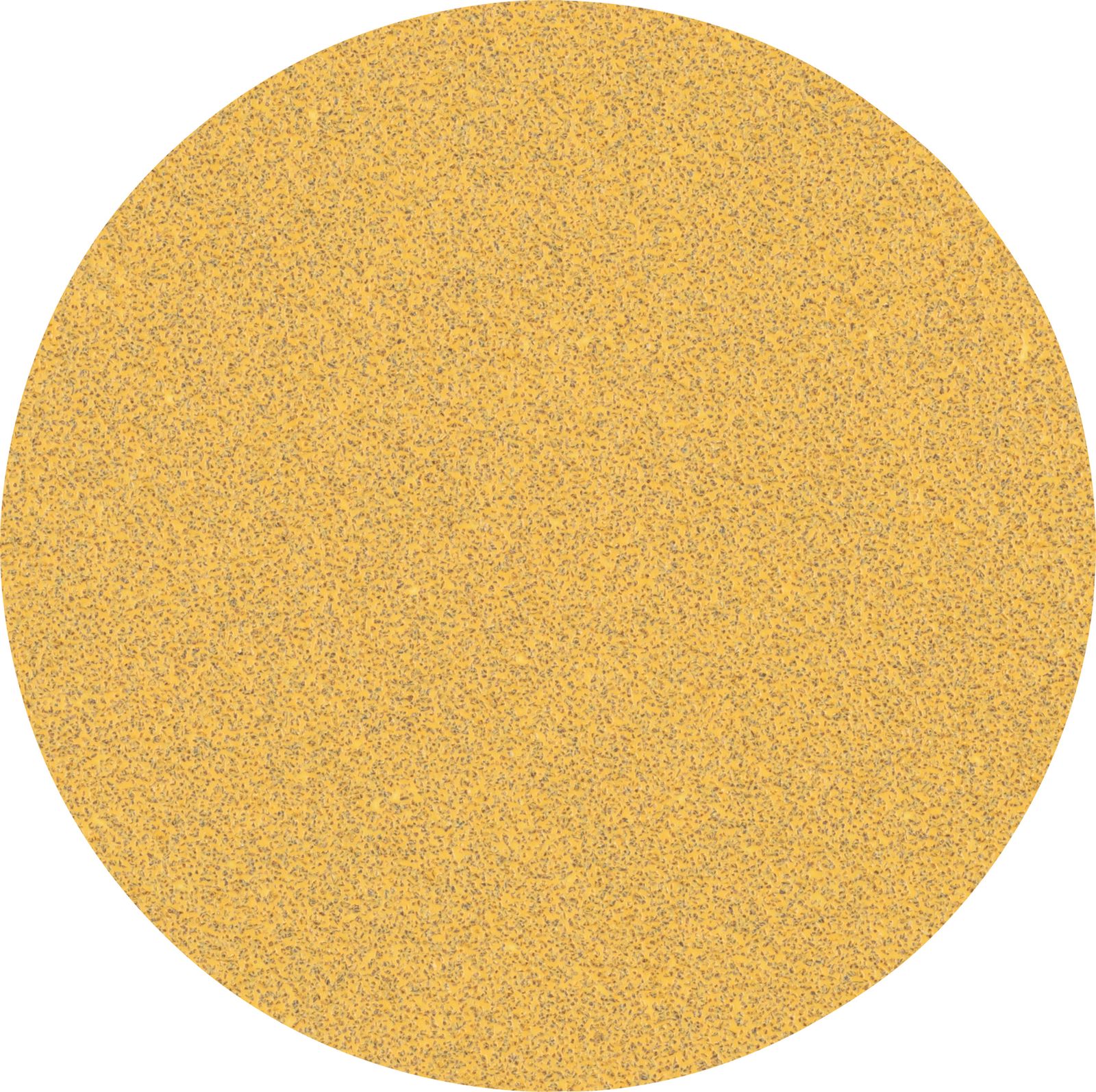 EXPERT C470 Schleifpap. o K60 mittel Papier Ø125mm