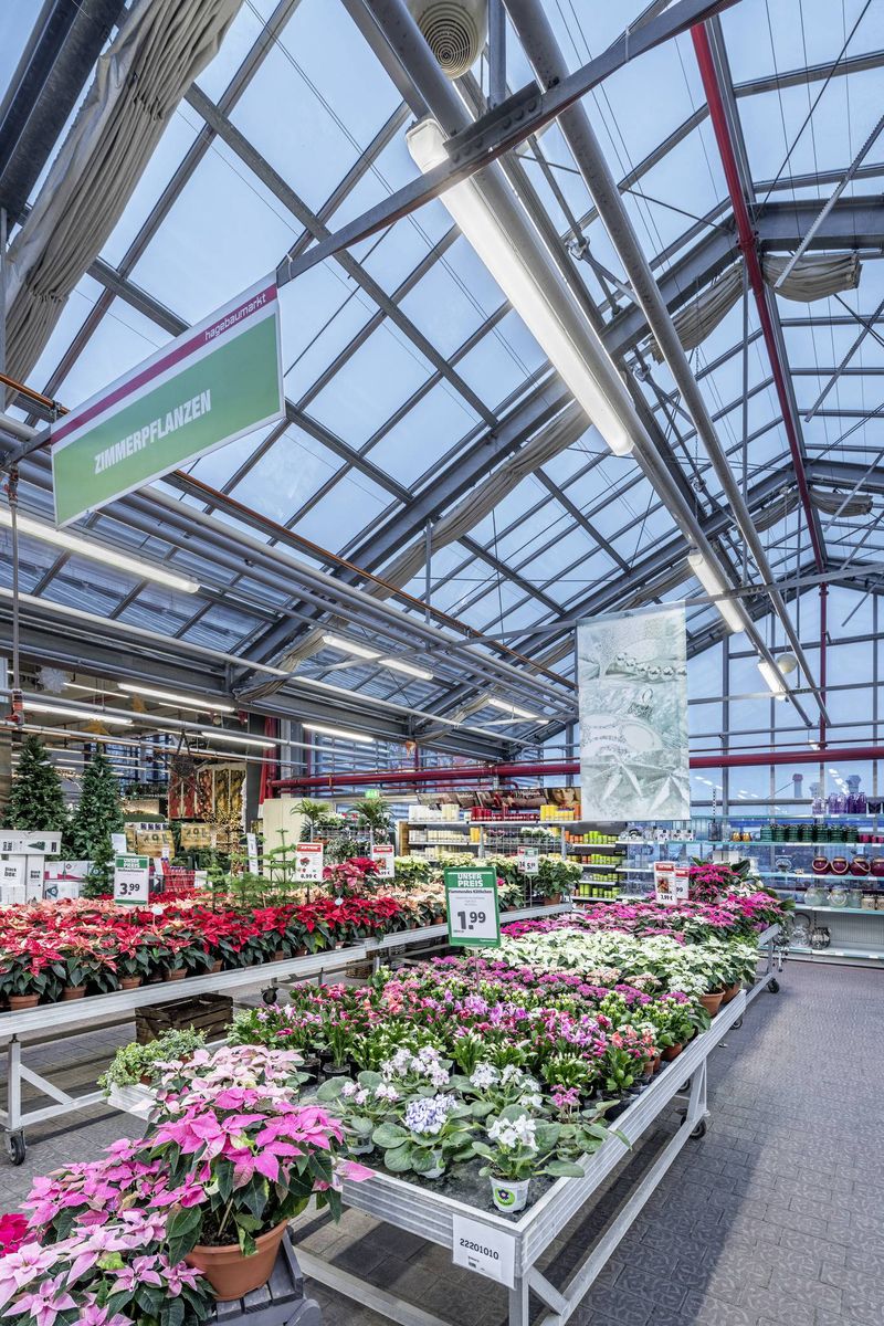 LED-Feuchtraumleuchte Oleveon 28W 4000K 3900lm gr Dimmung DALI IP66 BWM