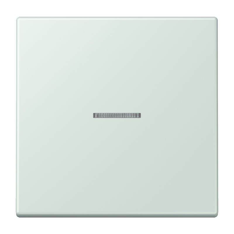 Bedienelement 1f cer_pal m.Abd mt f.Dimmeins ceruleen-pale m.LED-Anz