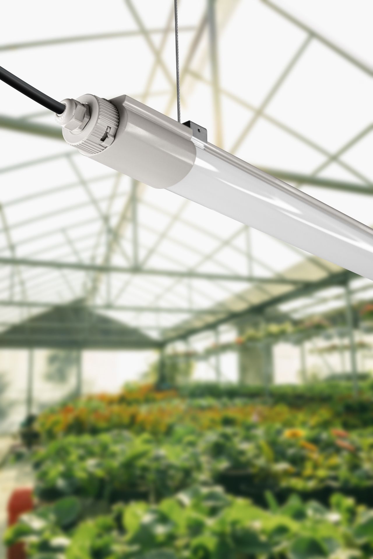 LED-Feuchtraumleuchte 20-40W 4000K Konv 4800lm ws IP65 1250x65x50mm