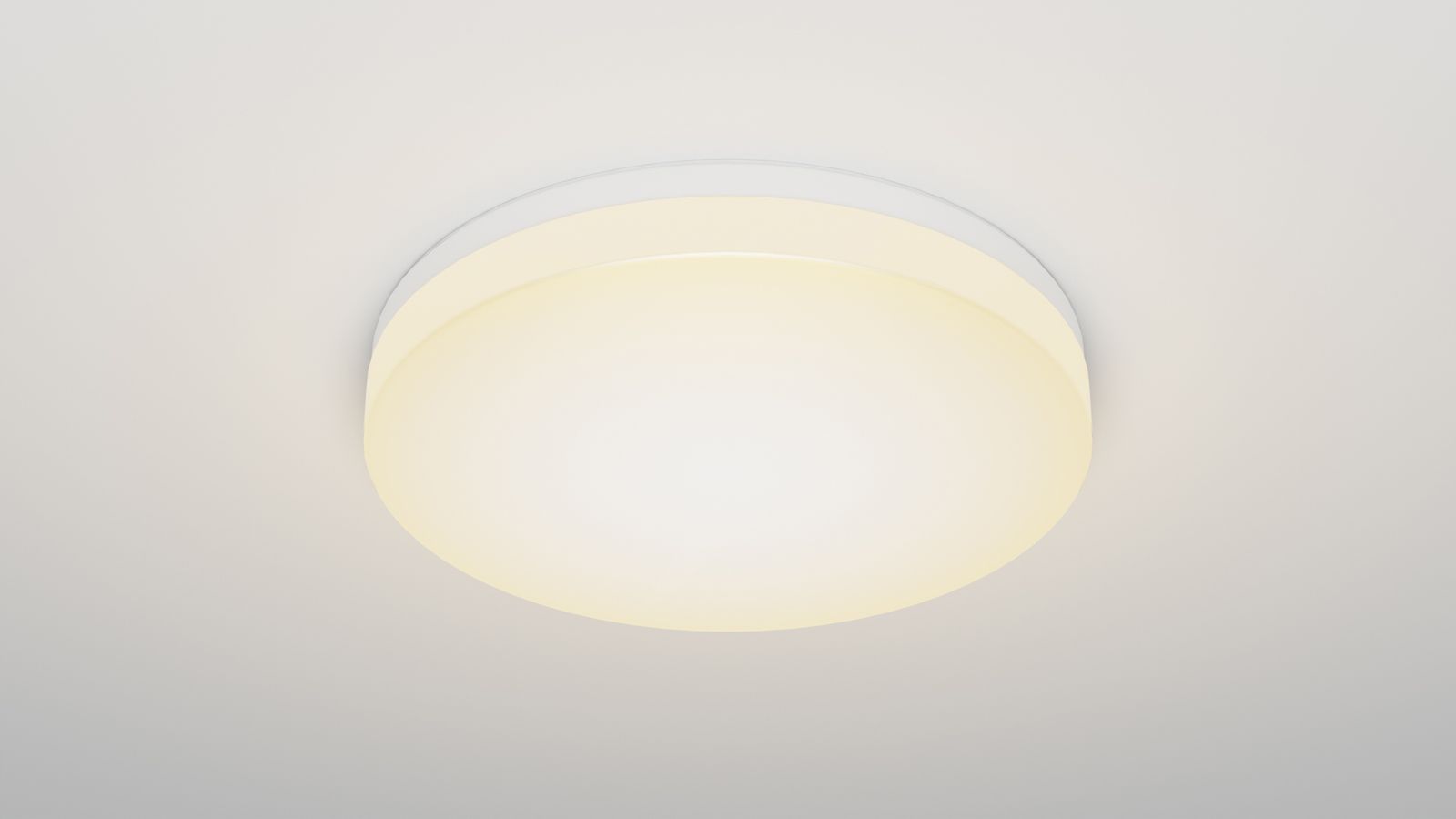 LED-Deckenanbauleuchte 48W 3000-5700K 4541lm ws IP54 Ø505x88mm