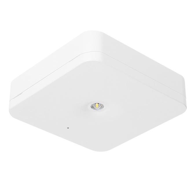 LED-Sicherheitsleuchte 1W 5000K 251lm IP54 1LED Deckenanb auto.Selbstt dezentr