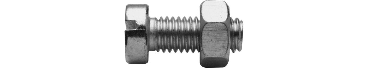 ASW Lochbandschraube M 8 x 25 mm, Stahl verzinkt, mit Muttern gepackt