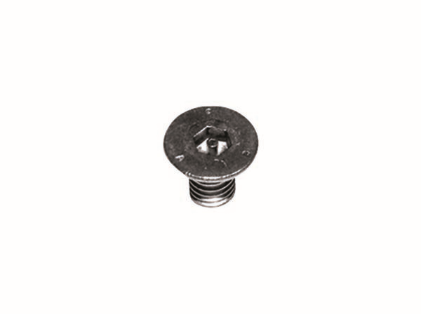 Dallmer Sicherheitsschraube M 5 x 8 mm, Edelstahl 1.4301, 2 Stück