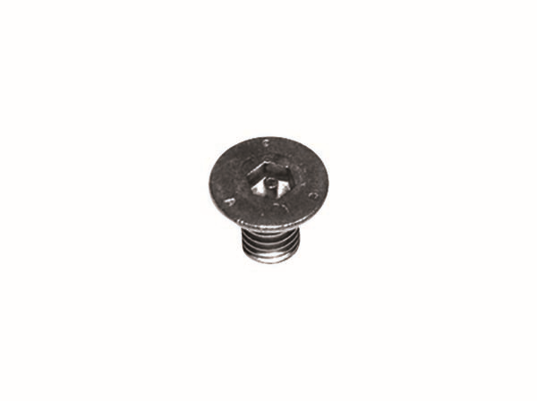 Dallmer Sicherheitsschraube M 6 x 8 mm, Edelstahl 1.4301, 2 Stück