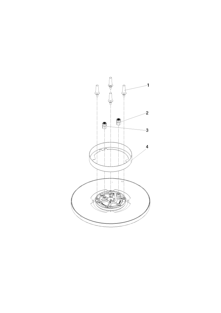 Dornbracht Regenbrause d= 300mm, für Deckenanbindung, Messing gebürstet