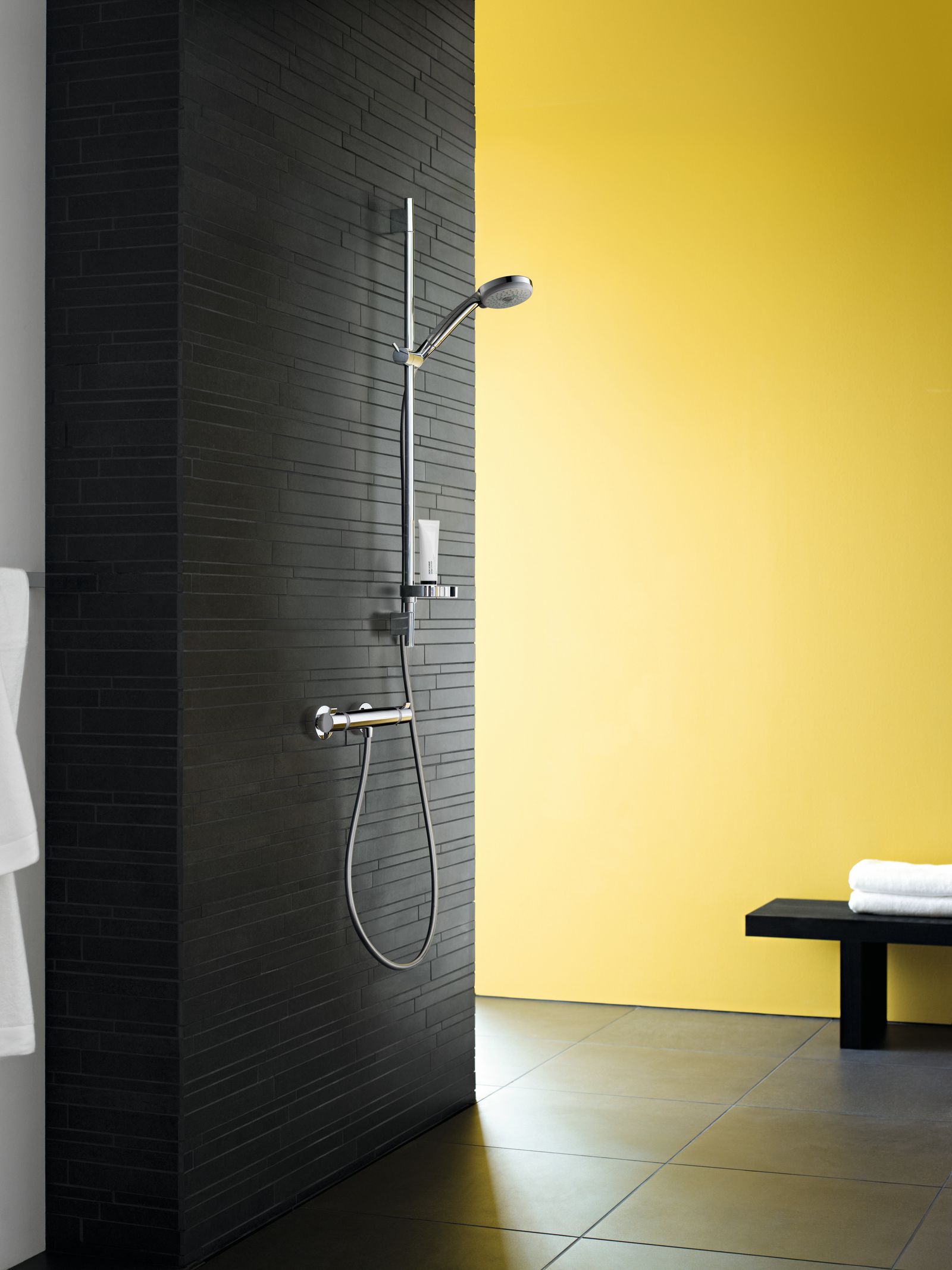 hansgrohe Handbrause Croma 100 Vario chrom