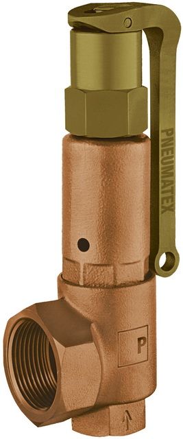 Pneumatex Sicherheitsventil DSV 25-5.0 DGH, 5 bar, DN 25, Rotguss